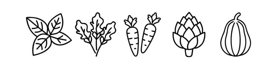 Line Icons of Herbs and Vegetables - Minimalistic line icons showcasing herbs and vegetables, including basil, lettuce, carrots, an artichoke, and a squash, ideal for culinary designs.