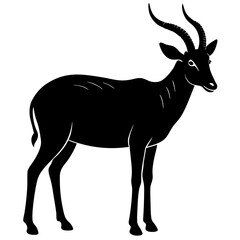 silhouette of a deer