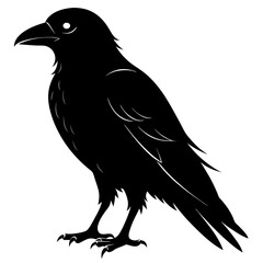 Fototapeta premium Common Raven silhouette vector style printable png