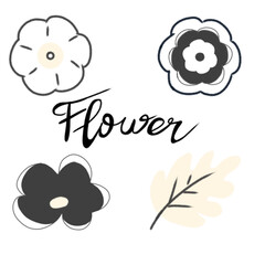 Stylized Floral Illustrations Featuring Leaves