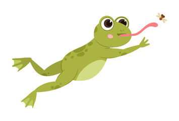 Obraz premium Jumping frog. Cartoon green frog hunting an insect, wildlife water froglet animal flat vector illustration. Cute funny amphibian