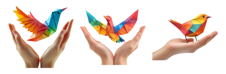 Colorful Origami Birds Held in Hands on Transparent Background