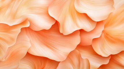 Soft peach flower petals layered beautifully.