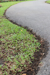 road in the field