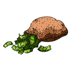 finance money bag hand drawn. savings investment, currency cash, assets income finance money bag vector sketch. isolated color illustration