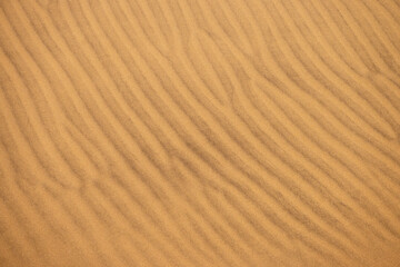 Desert sand background texture