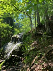 waterfall in the forest