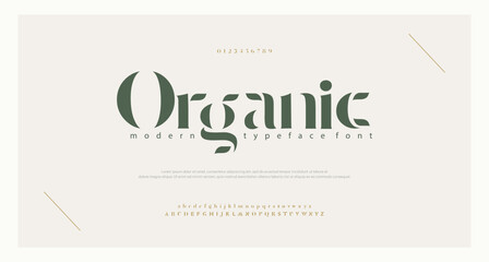 Elegant alphabet letters font and number. Classic Lettering Minimal Fashion Designs. Typography modern serif fonts and numbers. vector illustration