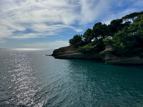 Beautiful sea, sky and coast overgrown pine trees