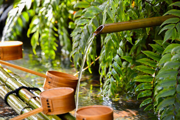 gardening tools in garden