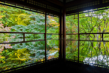 a rich autumn landscape