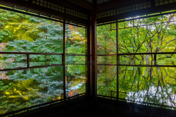 a rich autumn landscape