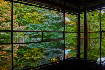 a rich autumn landscape