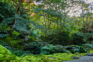 Obraz premium autumn scenery steeped in the garden