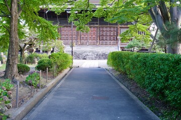 Fototapeta premium One road in the precincts of Zenkoji Temple