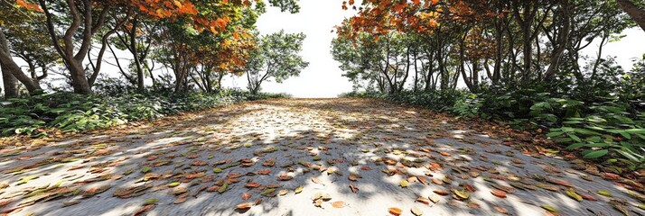 A serene pathway lined with trees and autumn leaves, inviting exploration and tranquility.