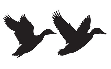 A set of black silhouettes isolated of ducks. Ducks vector illustration. Ducks art work.