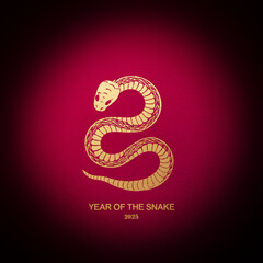 2025 Year Of The Snake - Lunar New Year. Blank template. Design illustration. Space for copy. Conceptual. Flowing. Abstract background. Elegant. Corporate. Marketing. Poster