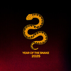 2025 Year Of The Snake - Lunar New Year. Blank template. Design illustration. Space for copy. Conceptual. Flowing. Abstract background. Elegant. Corporate. Marketing. Poster