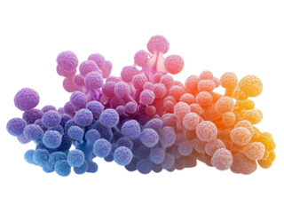 Abstract Coral Design for Creative Projects Isolated on transparent background