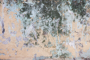 Close-up texture of damaged moldy wall.