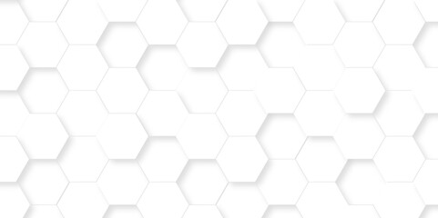 Fototapeta premium Minimal white hexagonal hexagon modern technology creative emboss light honeycomb polygonal web. abstract geometric science and mosaic tile with template web texture background.