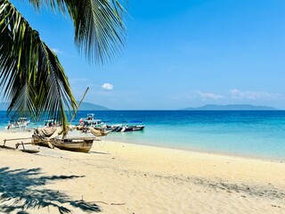 beach with palm trees and boats