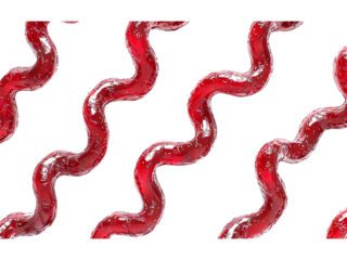 Abstract Red Wave Pattern on Dark Background Isolated on transparent background