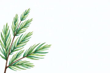 Obraz premium fir branches painted soft watercolors white christmas tree