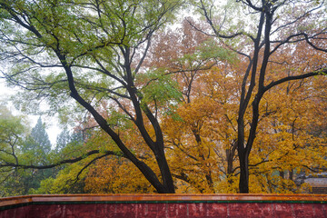Early Winter Scenery at the North Foot of Wanshou Mountain in Summer Palace
