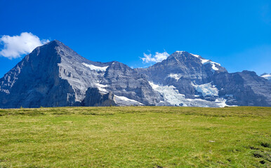 Majestic Swiss Alps with Glaciers and Green Pasture