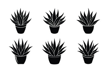 Aloe Vera (Aloe barbadensis miller) design, labeled silhouette vector art illustration.