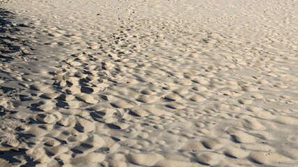 footprints on the sand