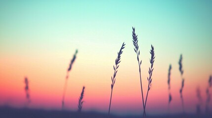 Serene Sunset Landscape with Grasses Silhouetted Against Sky