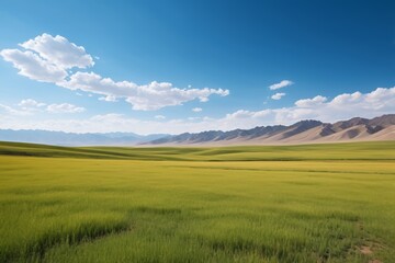 Obraz premium grassy field with mountains in the distance and a blue sky