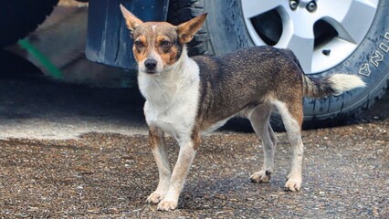 Port of Spain, Trinidad