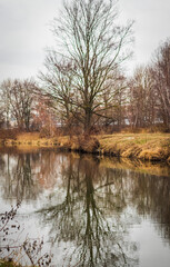 Shot of the river at autumn. Season