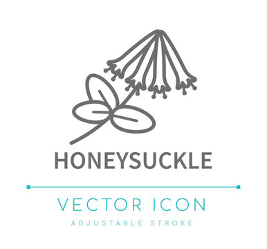 Honeysuckle Line Icon