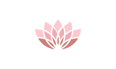 pink lotus flower