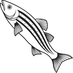 Zebra danio fish vector design and using black color line art illustration on a white background.