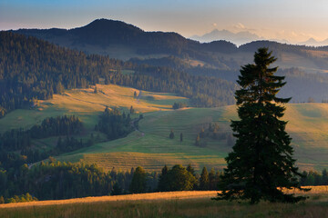Piękno Wiosennej Panoramy Pienin  © Wojciech Lisiński