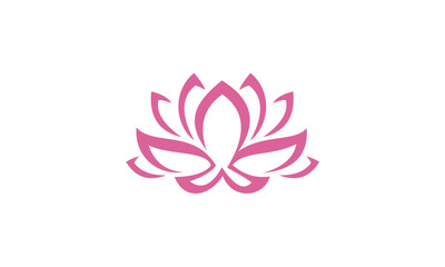 pink lotus flower