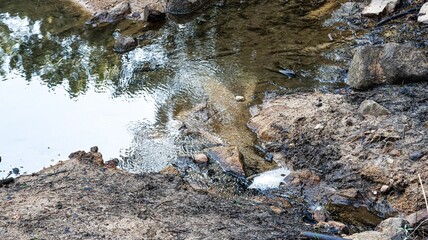 a small waterfall in the forest