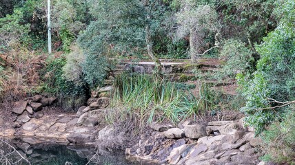 beautiful waterfall in the park