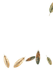 Adobe Illustrator Artwork