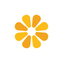 Fototapeta premium Orange Fruit Logo Template Icon