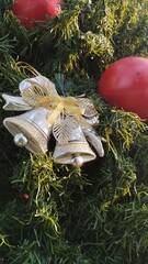christmas decoration arrangements santa claus flowers snow gift blurred area holiday gifts image