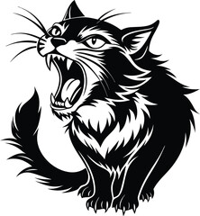 black cat isolated on white background