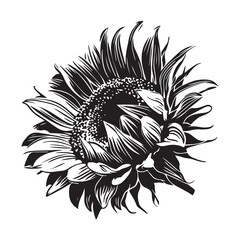 Sunflower line art coloring sheet printable for kids design