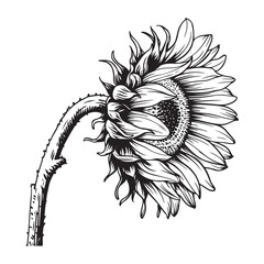 Sunflower line art drawing coloring page printable for kids exclusive design